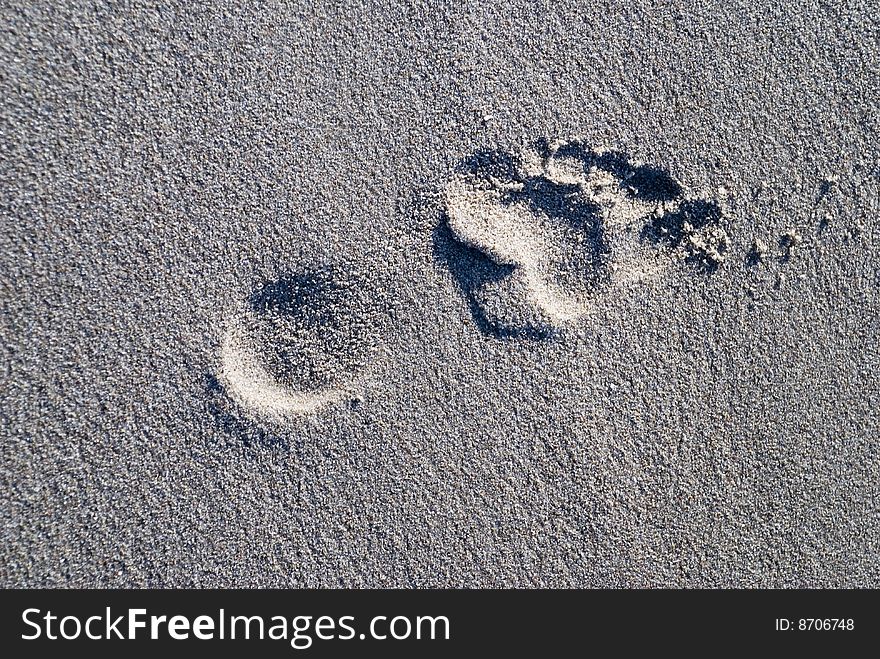 A lonely footprint in the sand