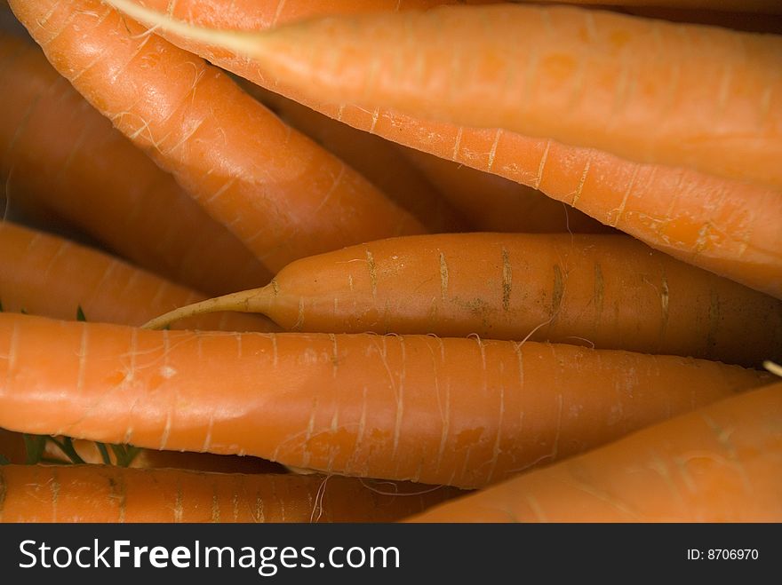 Some fresh carrots in the sun