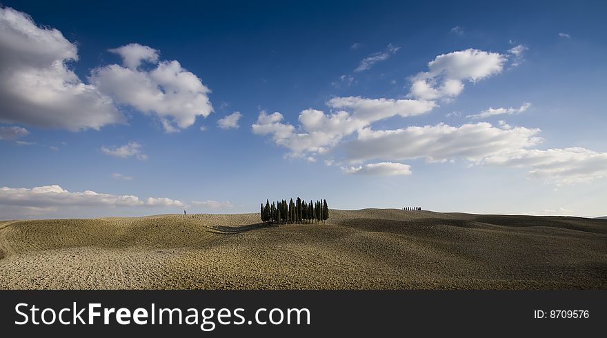 Tuscan Landscape. Val D'Orcia, Tuscany, Italy.