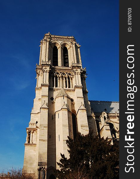 Notre-Dame cathedral - fragment