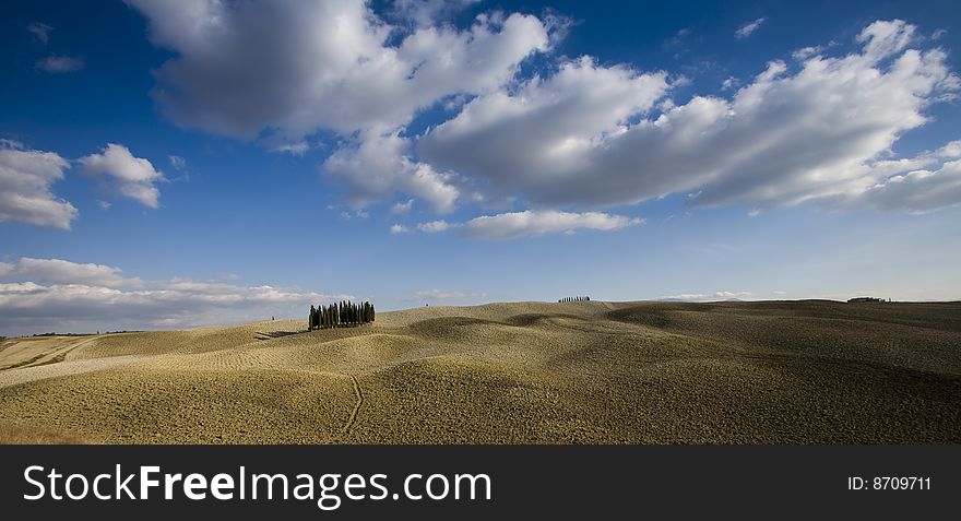 Tuscan Landscape. Val D'Orcia, Tuscany, Italy.