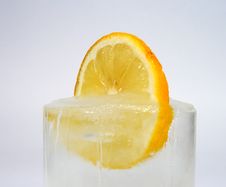Lemon In Ice Stock Photos