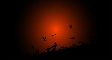 Flock Of Birds In The Sunset Stock Photo