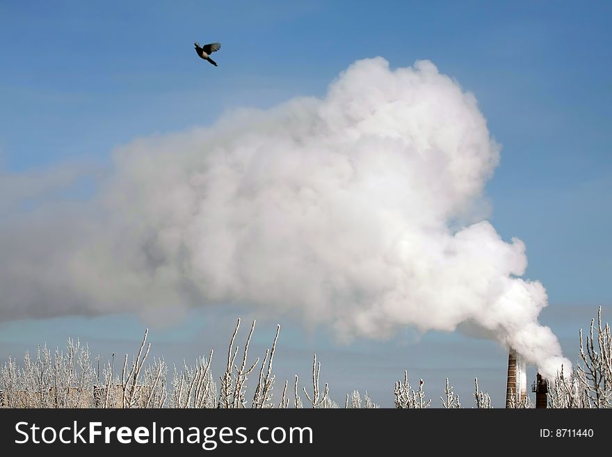 Smokestack Pollution with blue sky in the background and one bird. Smokestack Pollution with blue sky in the background and one bird