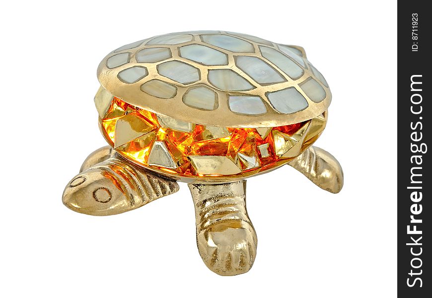 Fire Turtle