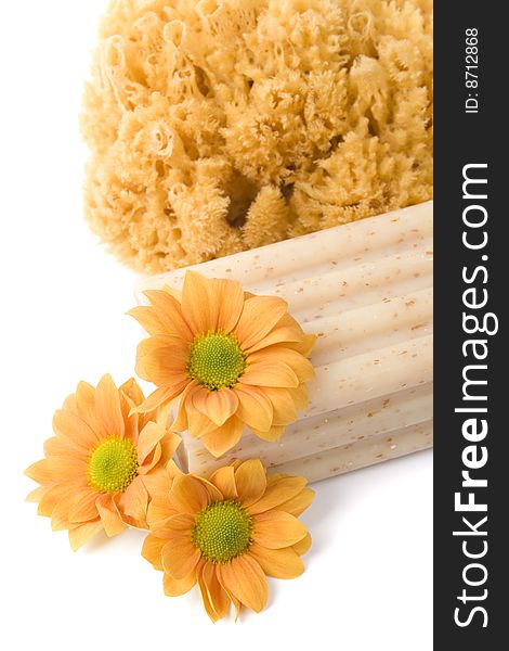 Natural sponge, soap and flowers on white background