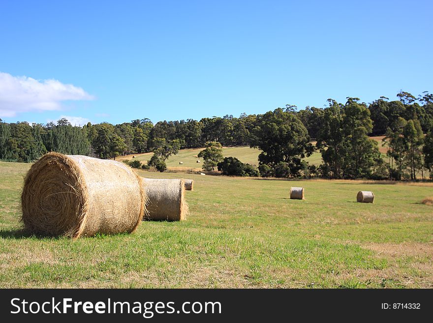 Rural scene of a field with hay bales. Rural scene of a field with hay bales