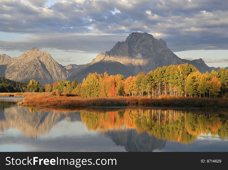 Sunrise on Mt. Moran and trees. Sunrise on Mt. Moran and trees