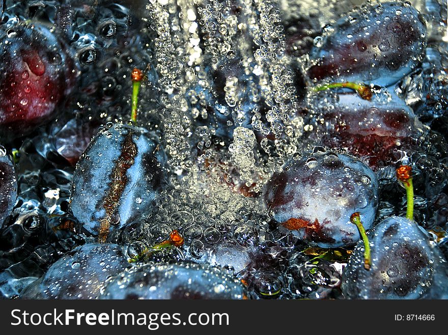 Washing blue ripe plums in water in kitchen. Washing blue ripe plums in water in kitchen