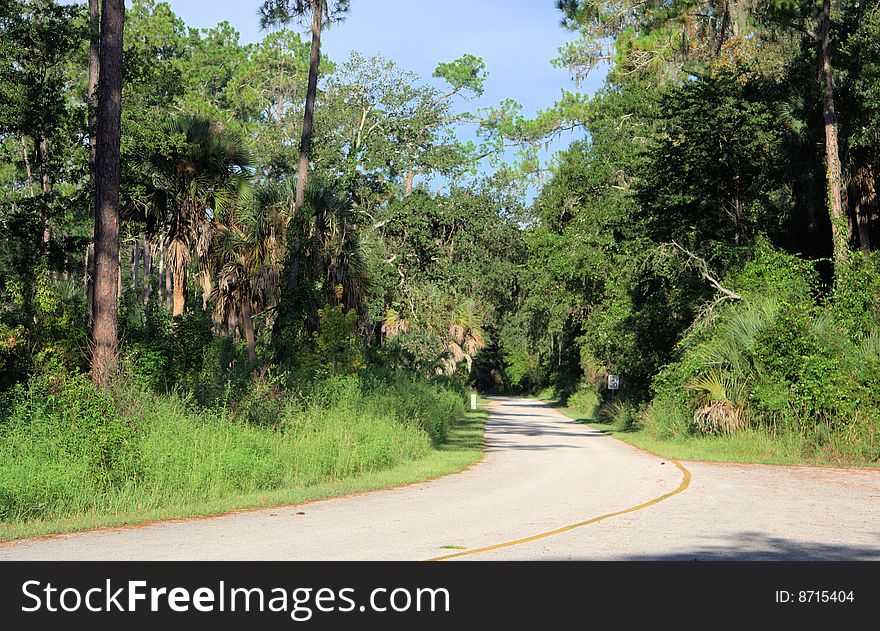 Nice scenic drive through a Florida park near Tampa.