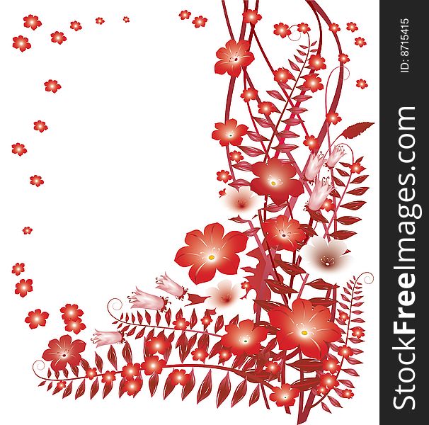 Delicate red flowers on white background