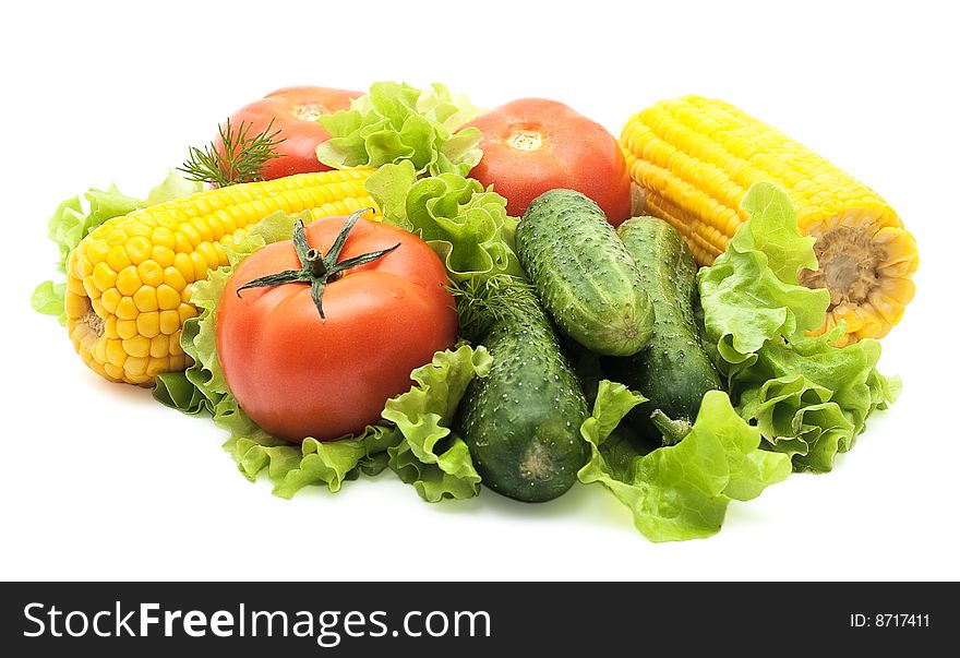 Vegetables on white background: tomatoes, cucumbers, corn on the leaves of lettuce. Studio work. Vegetables on white background: tomatoes, cucumbers, corn on the leaves of lettuce. Studio work.