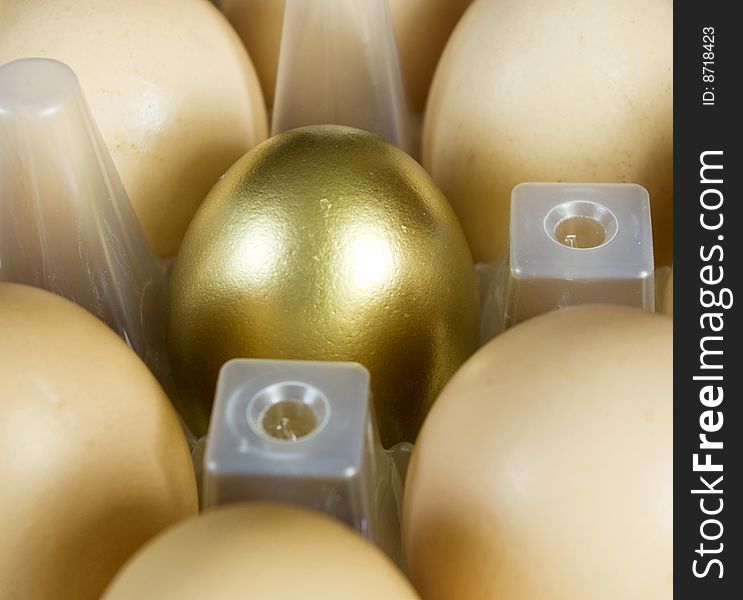 Gold egg between yellow . business  concept