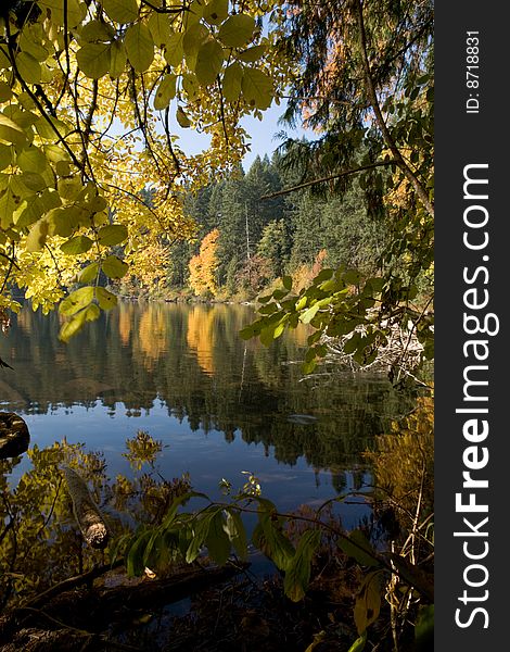 Lake during autumn