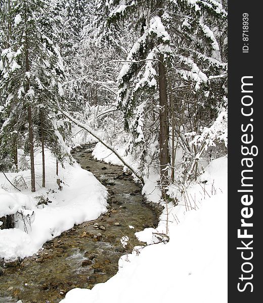 Winter idyllic scene with the stream flowing through a snowbound forest. Slovenia.
