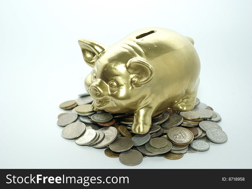 Piggy bank  isolated on white background with coins