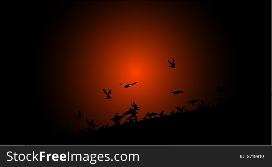 Flock Of Birds In The Sunset