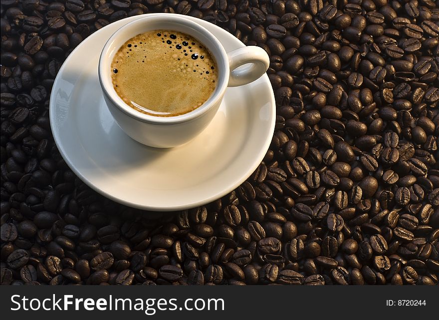 Closeup of a small white cup of freshly brewed coffee with coffee beans in background