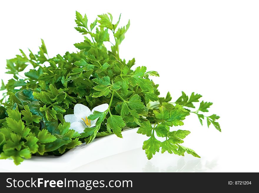 A picture of parsley on white background