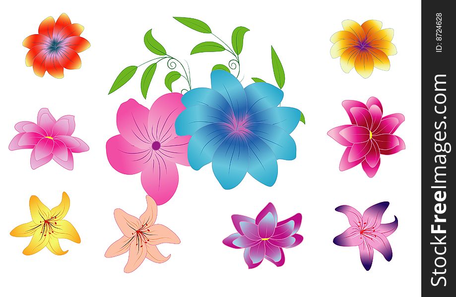 Vector illustration with ten flowers