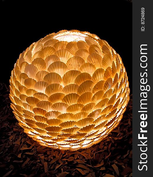 Electric lamp with a lamp shade from sea bowls. Against a dark background