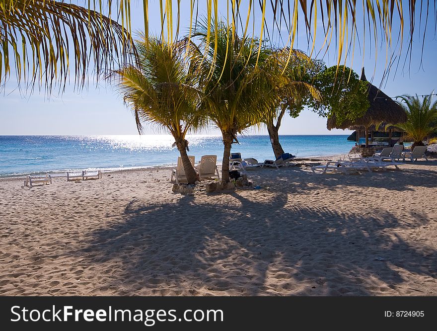 Nice quit tropical beach with palm trees. Nice quit tropical beach with palm trees
