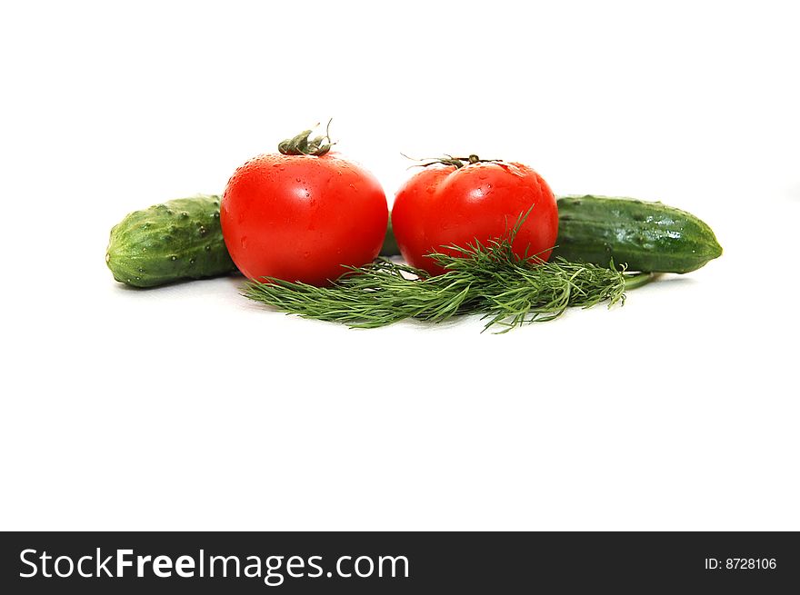 Two cucumbers with tomatoes and fennel on a white background