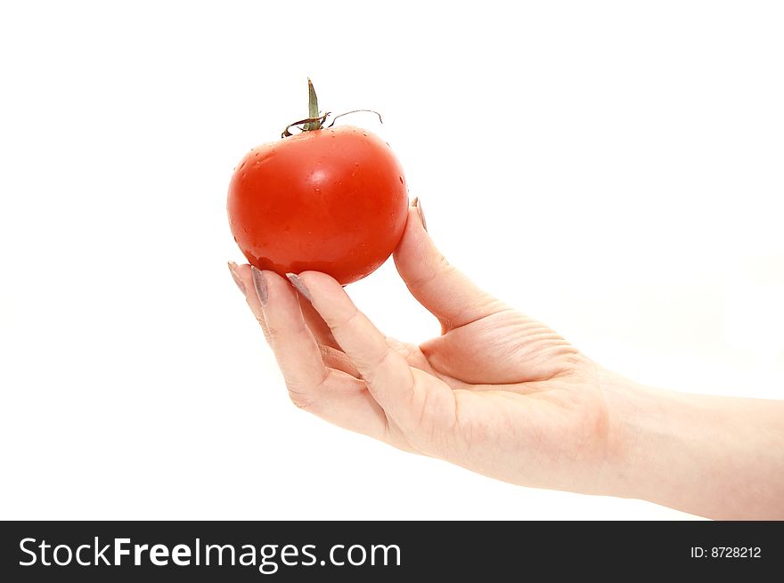 Hand Holds A Tomato On A White Background