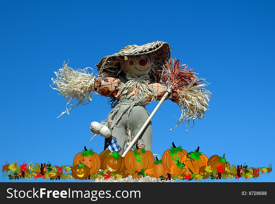 Pumpkin patch with scarecrow guard