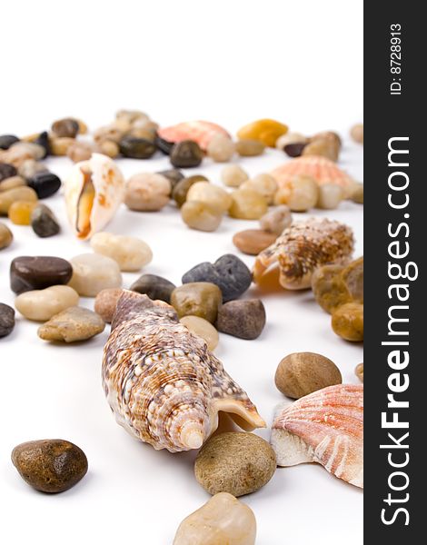 Sea shells and pebble beach collection