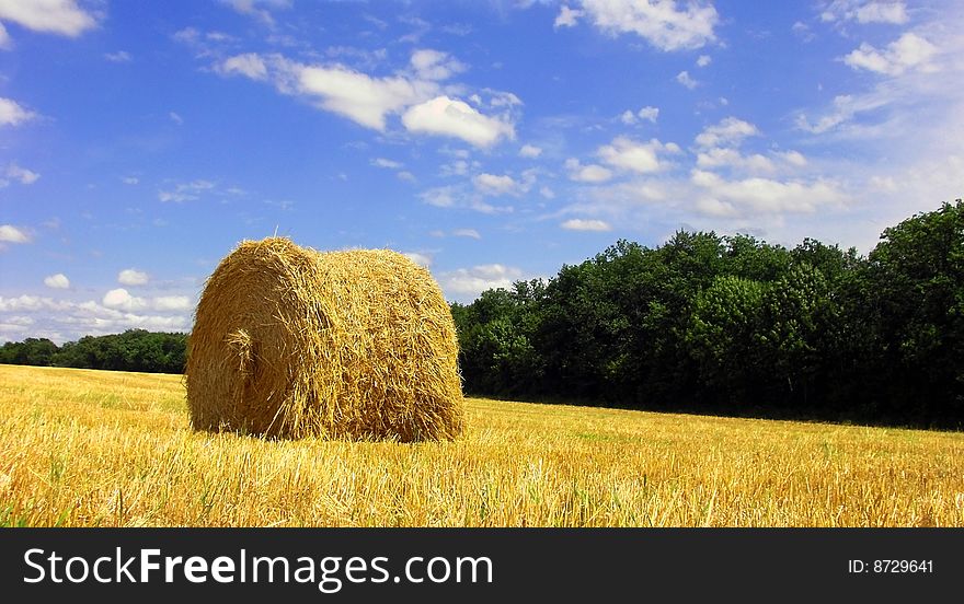 Field with circular hay bales