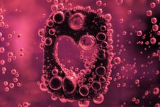 Love Elixir Stock Photos