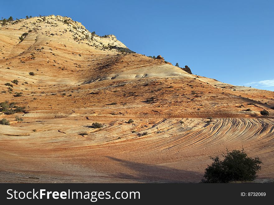 Zion High Country Sandstone