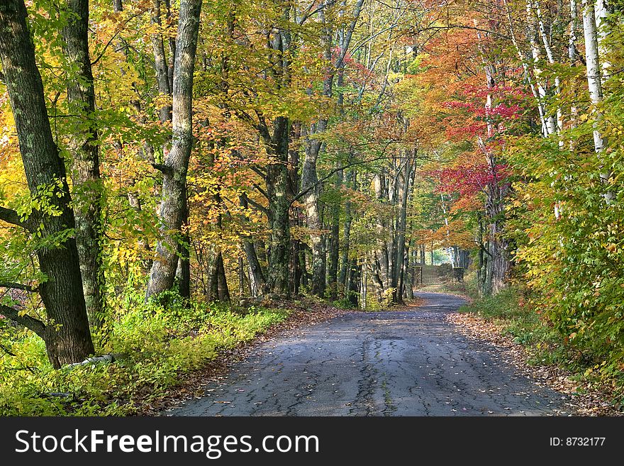 Fall Color Along Road In Sugar Hill