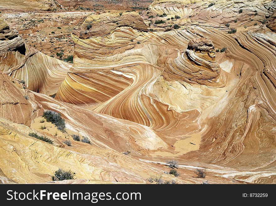 Landscape swirls in the Wave, Arizona. Landscape swirls in the Wave, Arizona