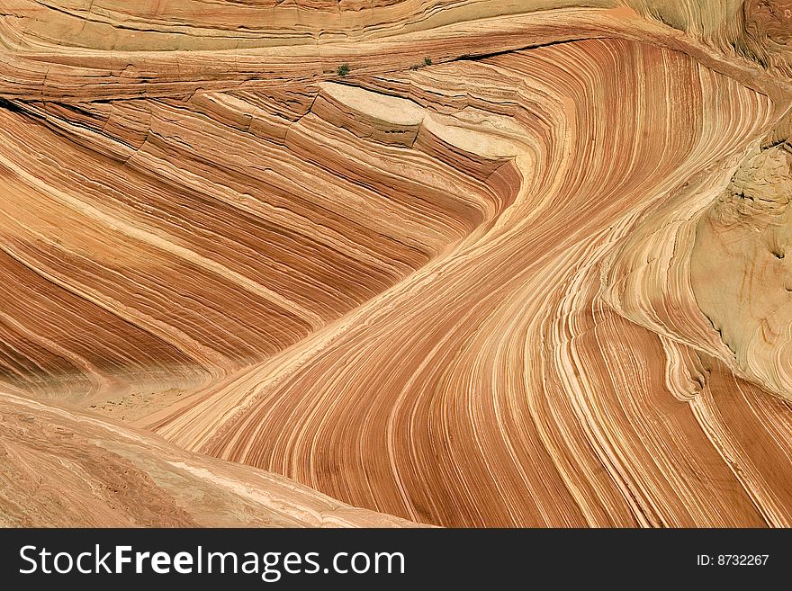 Wave sandstone swirls in the Wave, Arizona. Wave sandstone swirls in the Wave, Arizona