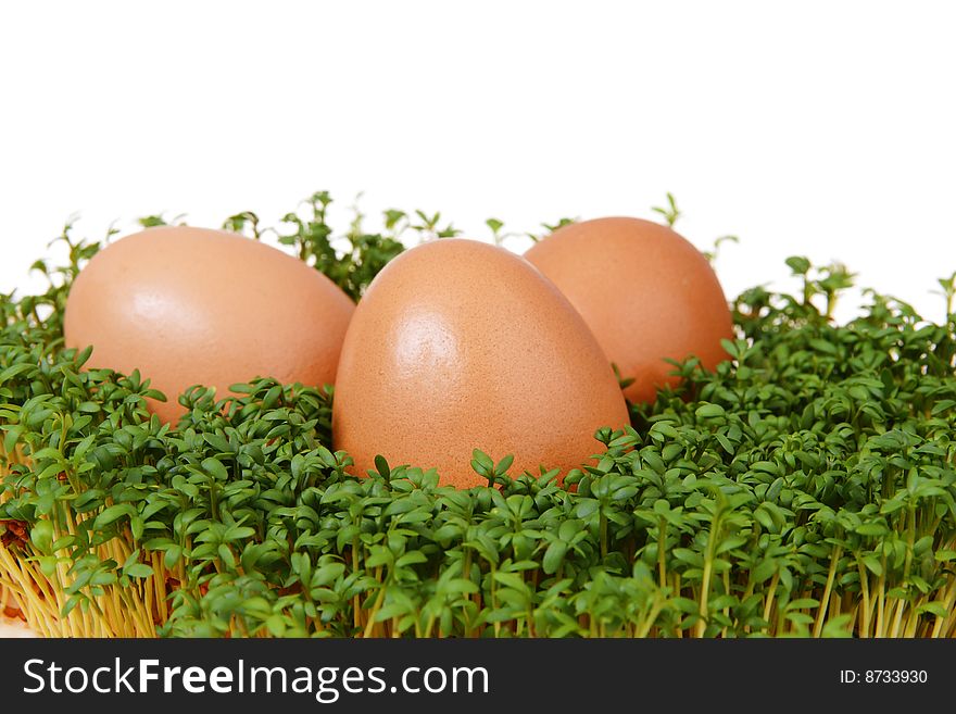 Fresh green cress and three easter eggs isolated on white background. Fresh green cress and three easter eggs isolated on white background