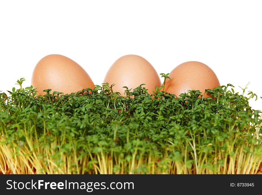 Fresh green cress and three easter eggs isolated on white background. Fresh green cress and three easter eggs isolated on white background