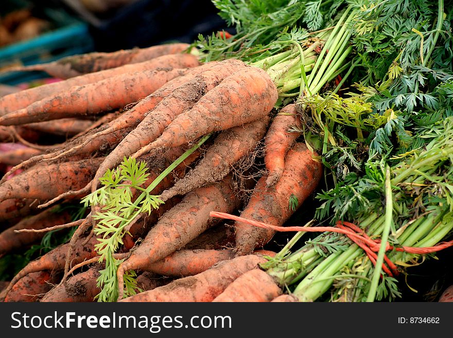 Carrots, farmer's market, selective focus. Carrots, farmer's market, selective focus