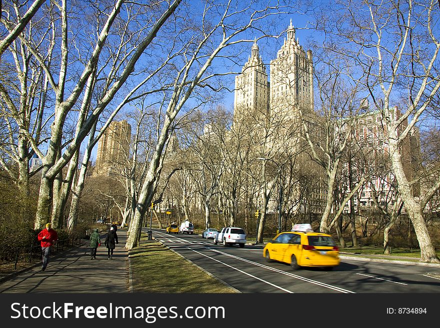 View of Central Park in New York city.