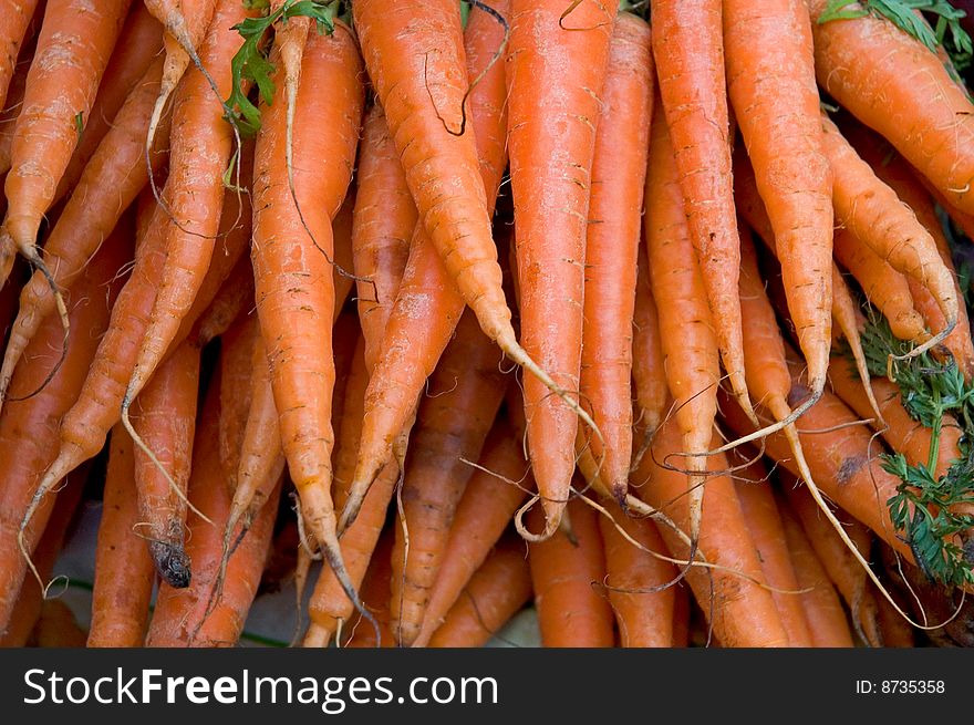 Fresh organic carrots in farmers market. Fresh organic carrots in farmers market