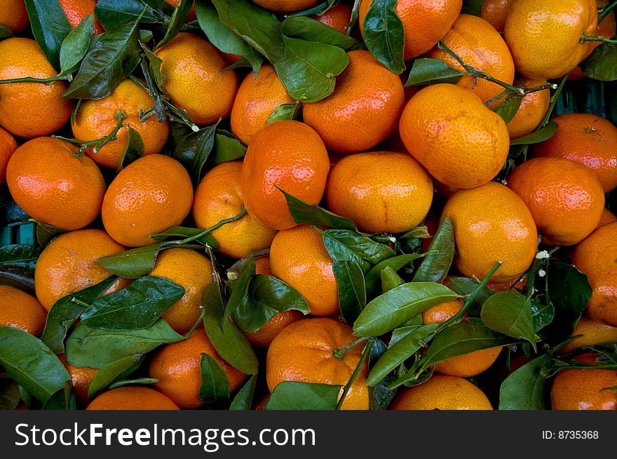 Fresh Market Mandarin citrus fruit with leaves. Fresh Market Mandarin citrus fruit with leaves