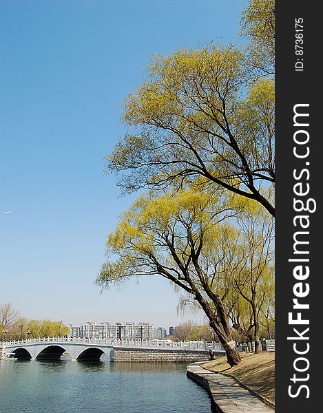 Lake with stone bridge and willows at the bank, shot at Tao ran park in spring, Beijing. Lake with stone bridge and willows at the bank, shot at Tao ran park in spring, Beijing.