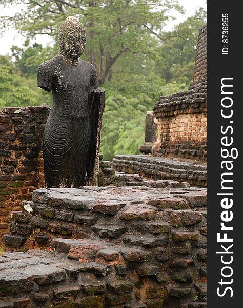 The statue of the 12th century in the town of Polonnaruwa in Sri Lanka. This town used to be the capital of the country.