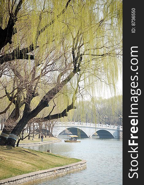 Lake with stone bridge and willows at the bank, shot at Tao ran park in spring, Beijing. Lake with stone bridge and willows at the bank, shot at Tao ran park in spring, Beijing.