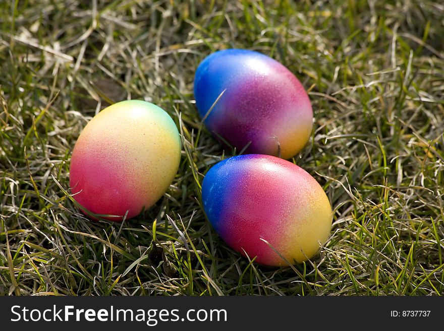 Colored Easter Eggs In Grass