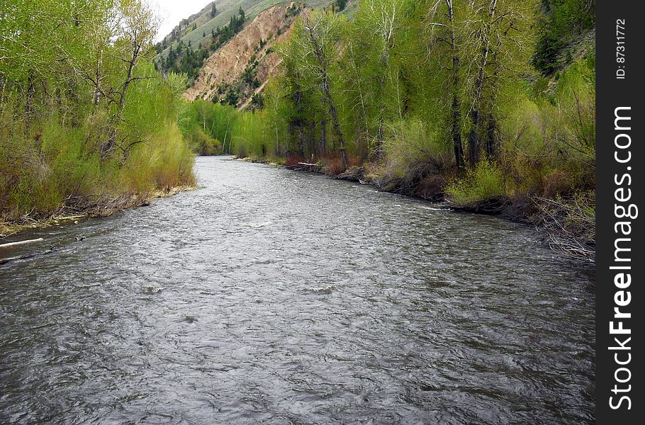 The Big Wood River flows through communities of the Wood River Valley of south-central Idaho. It is one of eight sites at which the USGS is conducting an ecological assessment during the summer of 2014. Study results will be published in 2015. â€‹ â€‹Location:â€‹ â€‹â€‹Hailey, ID, USA. Credit: Dorene â€‹ â€‹MacCoy,USGSâ€‹.