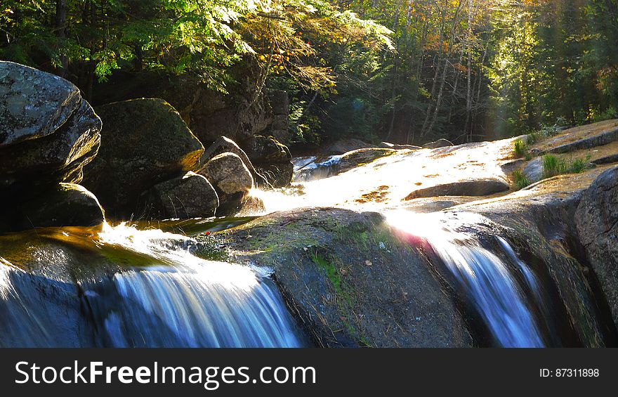 Stream And Light In Autumn