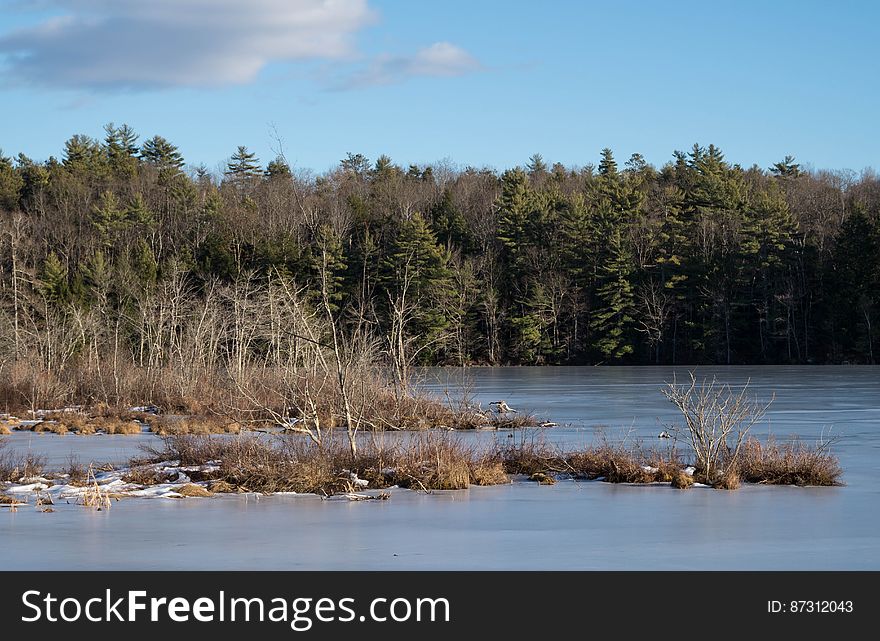 Winter Maine Afternoon