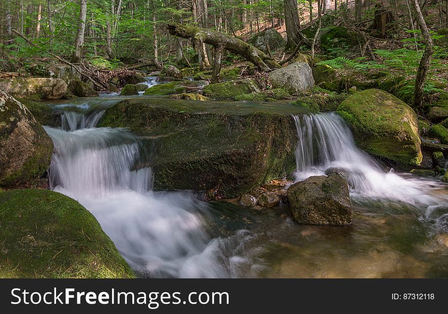 Gentle Brook.